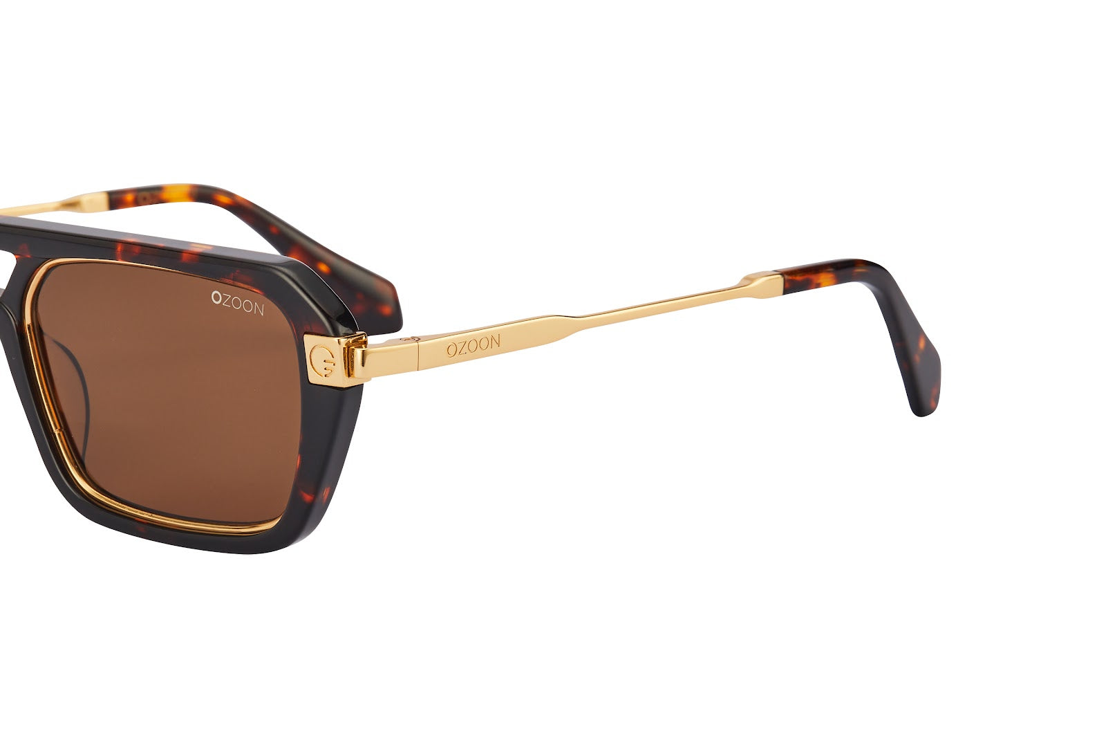 VV008 brown 3